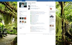 Different Facebook Layouts