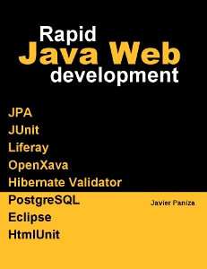 java web development