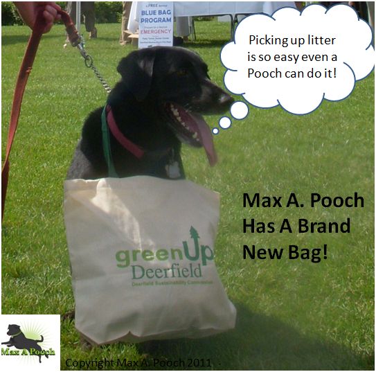  - 11659525-max-pooch-has-brand-new-bag