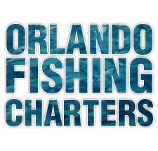 Orlando Deep  Fishing on Orlando Deep Sea Fishing For Adventure Lovers   Prlog