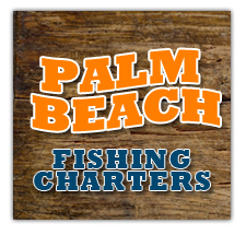 Deep  Fishing Palm Beach on Make The Most Of Palm Beach Deep Sea Fishing   Prlog