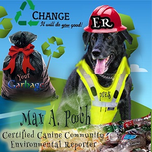  - 12190996-max-pooch-is-dressed-and-ready-for-assignments-as-ccr-environmental-reporte