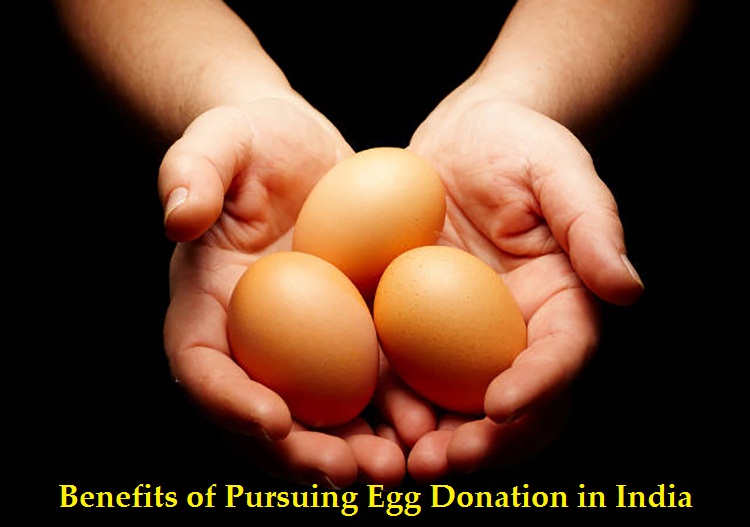 Benefits of Pursuing Egg Donation in India PRLog