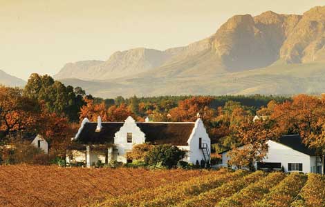 Wine lands Cape Town – the heaven of wines | PRLog