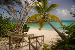 St Thomas U S Virgin Islands Destination Weddings No Passport