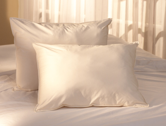 pacific coast down pillows