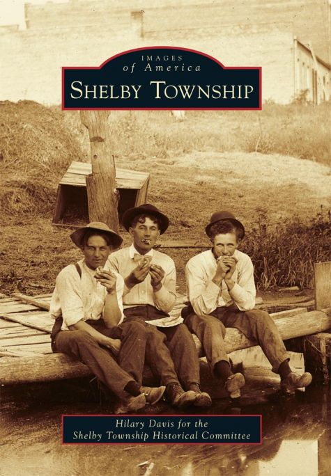 shelby township mi area code