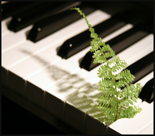 Piano Gardening? Nature and Music Meet at ...