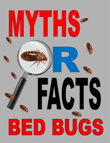 Myths And Facts About Bed Bugs -- Arrow Services, Inc. | PRLog