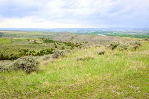 The Wonderful and Exotic Ranch Land for Sale -- Fritz Montana Ranch | PRLog