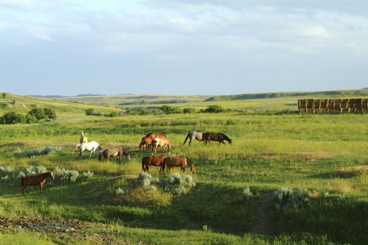 Eastern Montana Ranches for Sale – Ideal Ranches to live -- Fritz ...