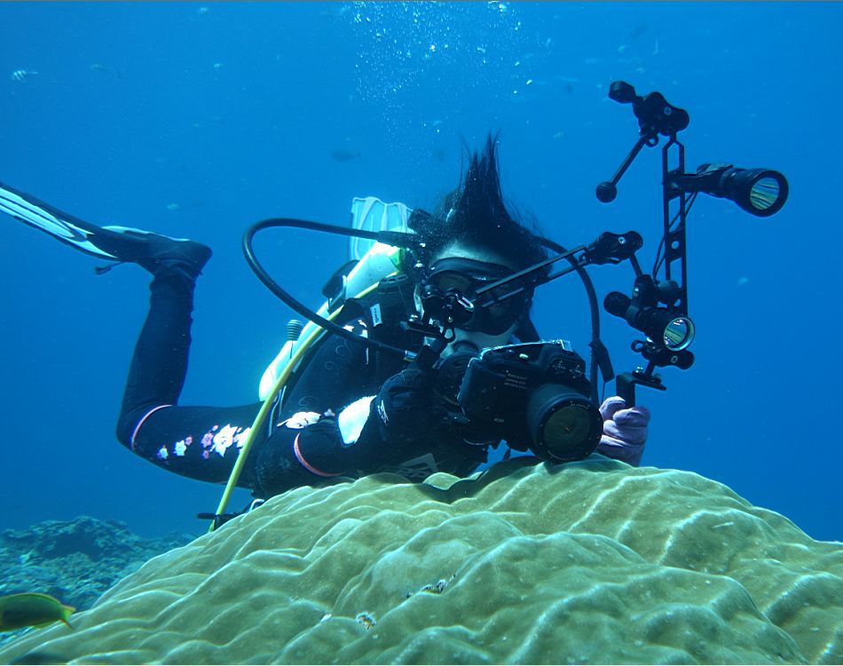 sealife reefmaster underwater camera sl515