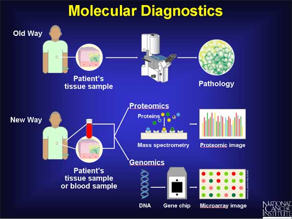 molecular-diagnostics-market-expected-to-reach-usd-8-7-billion-through