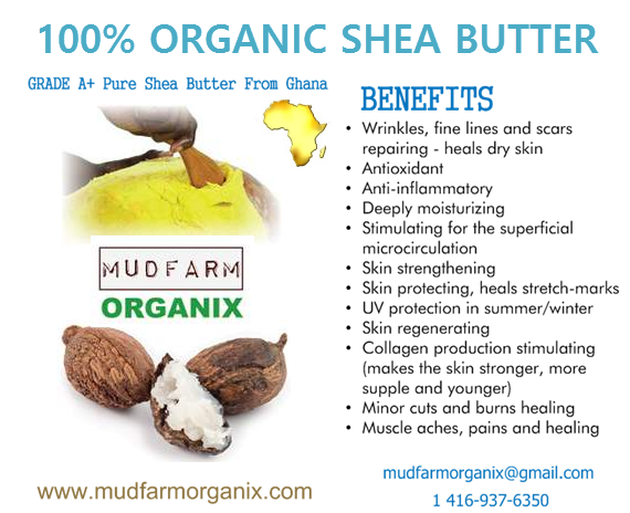 Where Exactly To Buy 100% Grade A Organic Shea Butter In Toronto ...