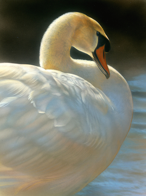 Wildlife Artists’ Legacy Celebrates and Supports Nature through Art ...