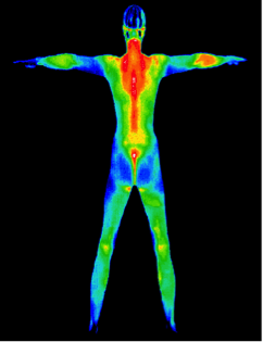 Imaging Alternatives opens in Bend to provide Clinical Thermography ...