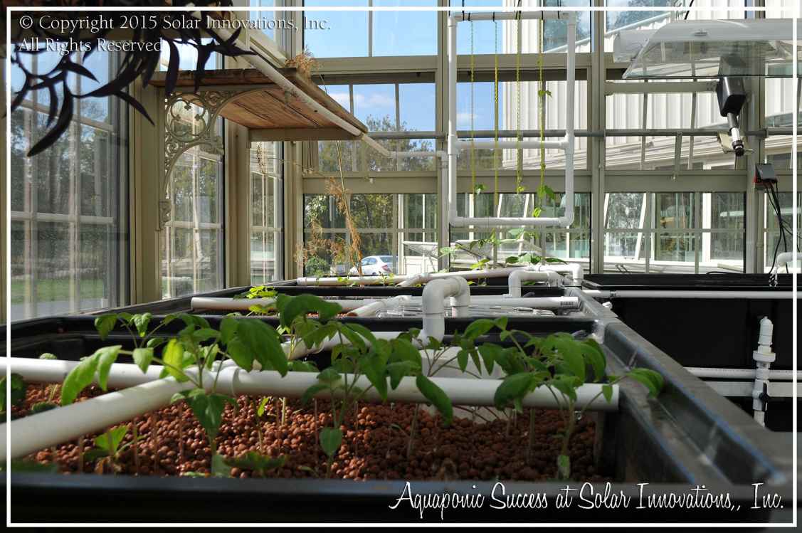 Solar Innovations, Inc. Implements Greenhouse Aquaponic ...