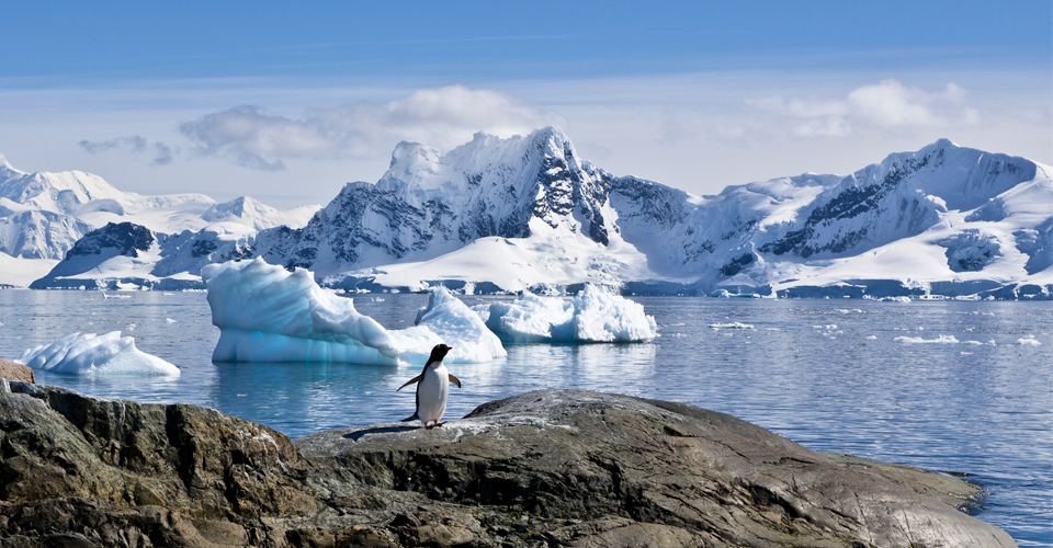 Nat Hab Offers RT Charter Flights Across Drake Passage On Rare Sailboat ...