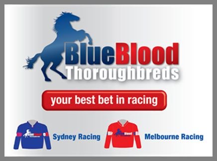 racehorse syndication shares australian prlog