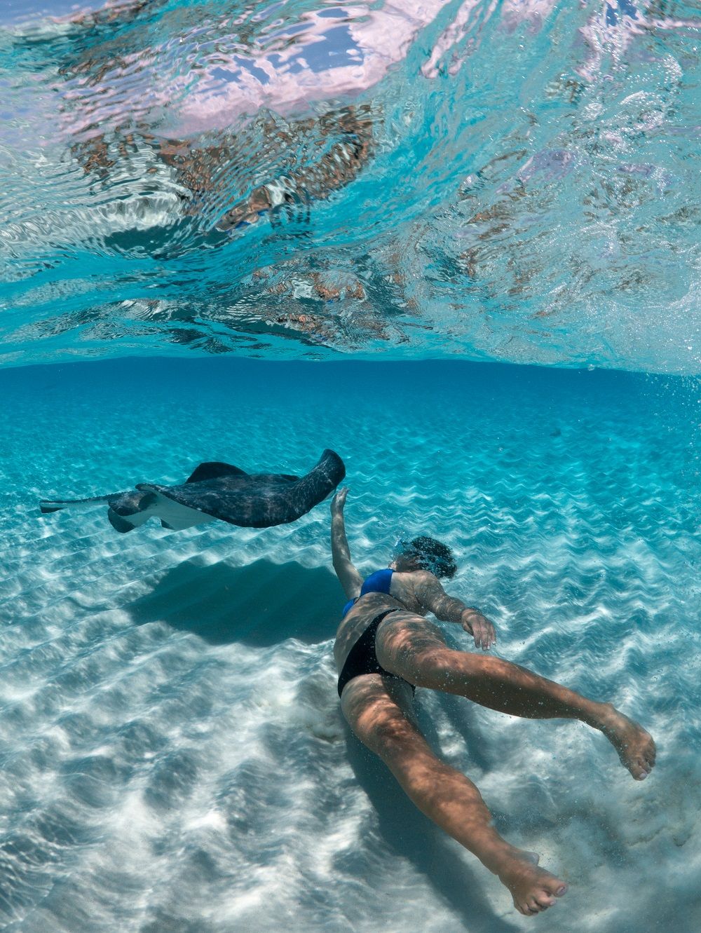 Stingray City and Starfish snorkel tours for cruise ship ...