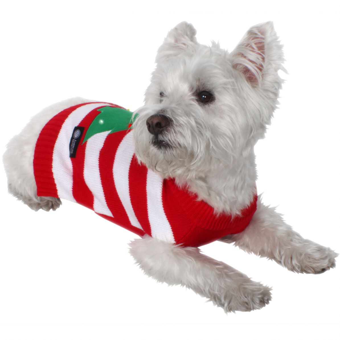 Light up dog christmas on sale sweater