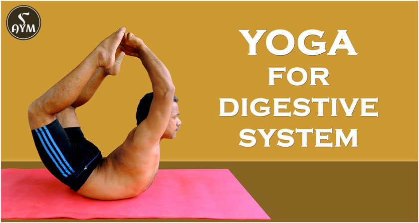 Yoga For Digestive System Aym Yoga Aym Yoga School Prlog