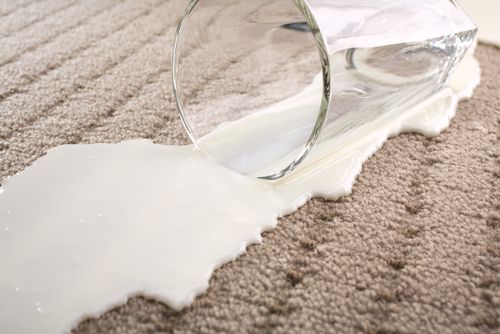 How To Remove Milk Stains From Carpets And Rugs D G Carpet Cleaning 