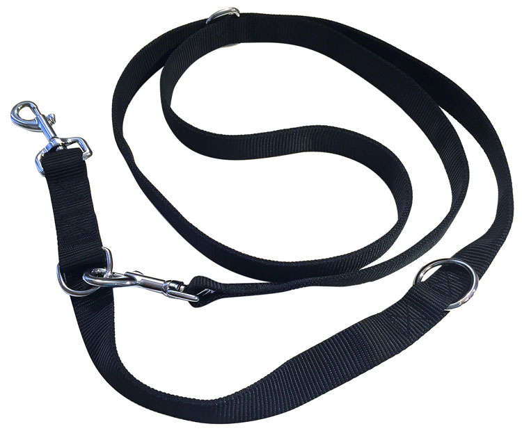 Lead the Pack With the 6+ Multi-functional Dog Leash -- Wonderkul | PRLog