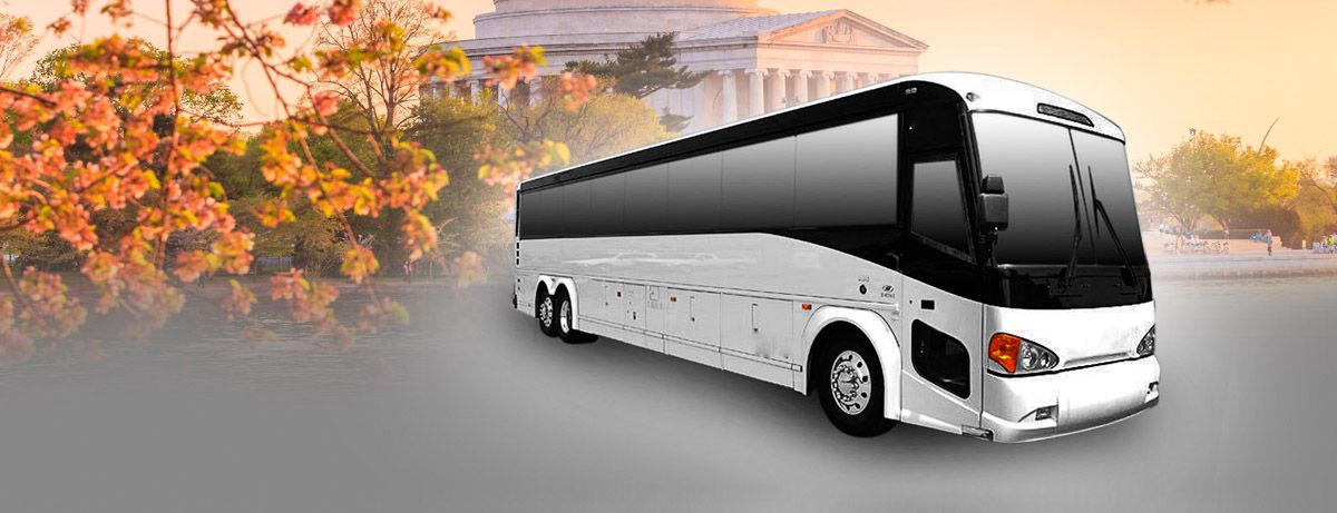 tour buses dc