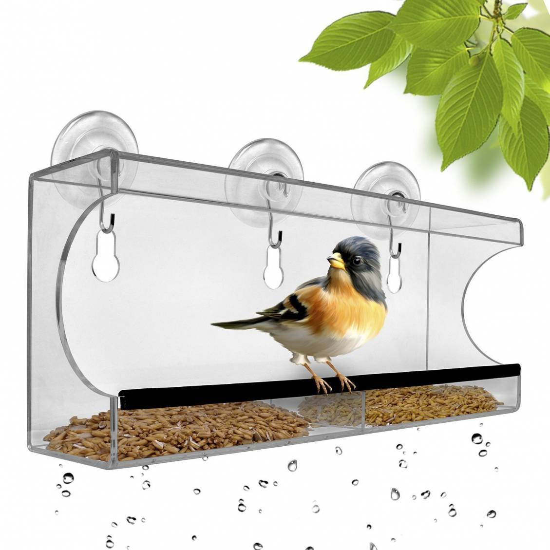 Fun in the Sun with a Premium Birdfeeder by Chillax ...