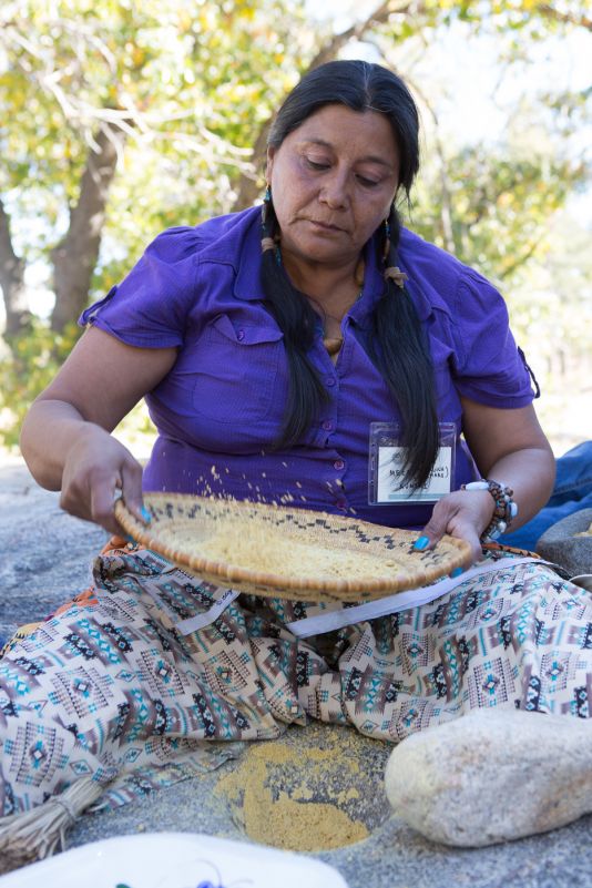 Kumeyaay Knowledge And Use Of Native Plants Still Vibrant In Remote ...