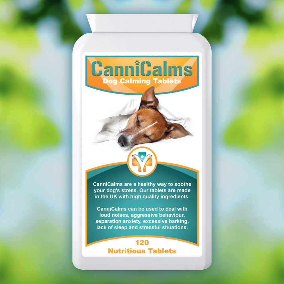 CanniCalms are a Healthy Way to Keep your Dog Happy During Halloween