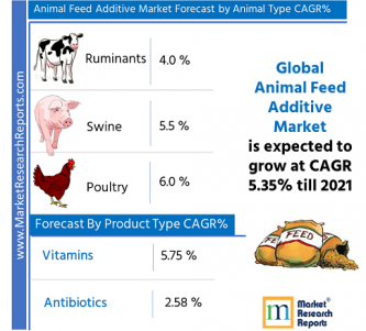 Global feed 