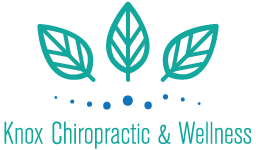 Knox Chiropractic & Wellness Is the Ultimate Destination for All Needs ...