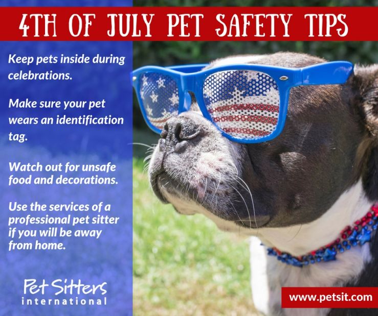 Take precautions this Fourth of July, Pet Sitters International warns ...