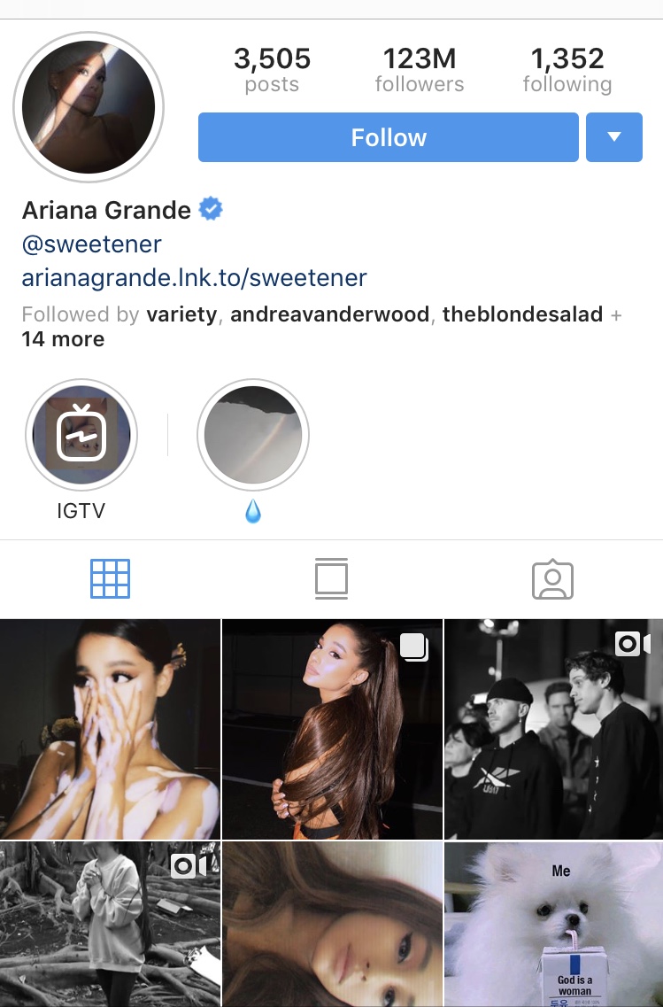 Ariana Grande Bedazzles Millions Of Fans With Stunning ... - 749 x 1137 jpeg 199kB