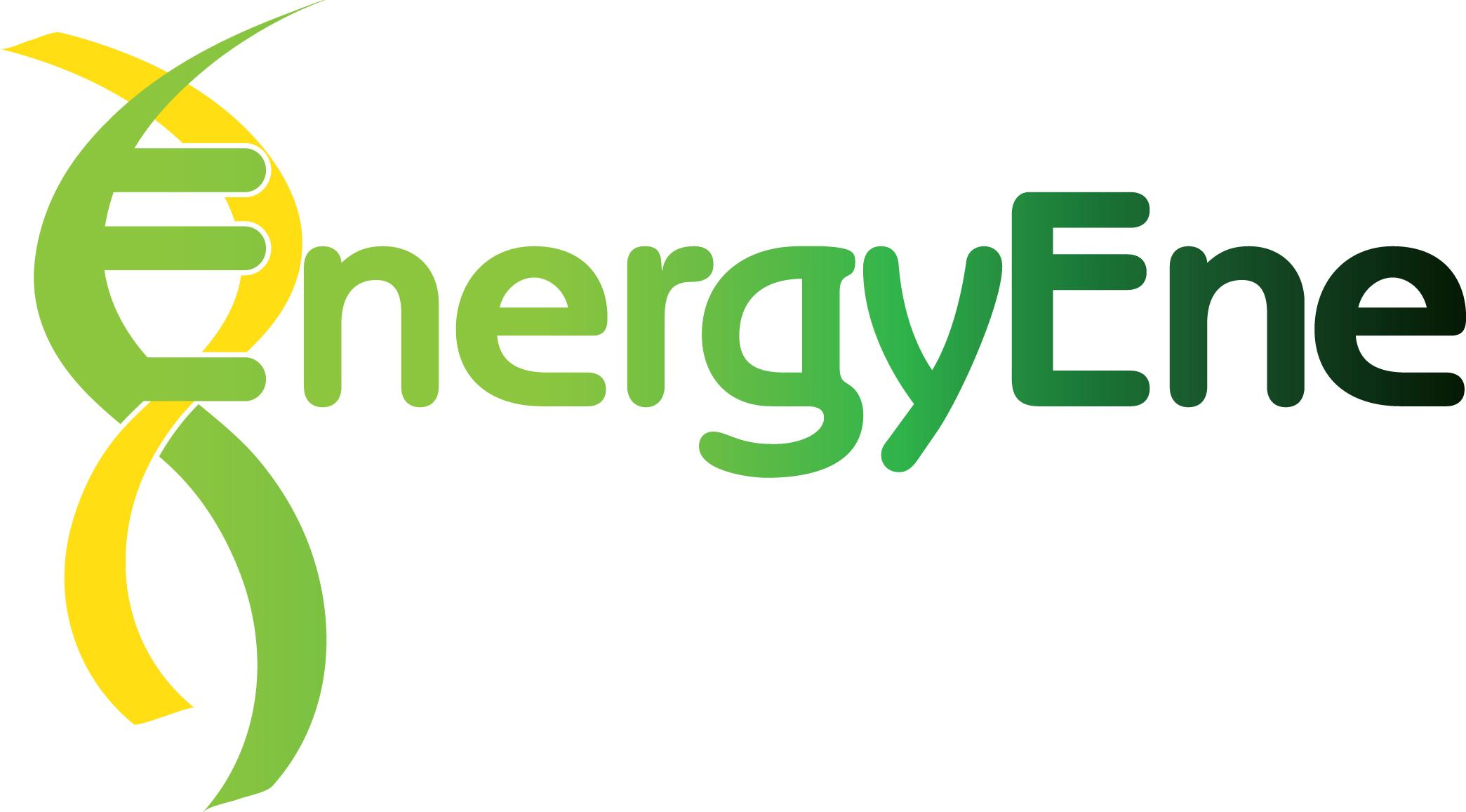 EnergyEne, Inc. Adds Two to Executive Team and Board of Directors ...