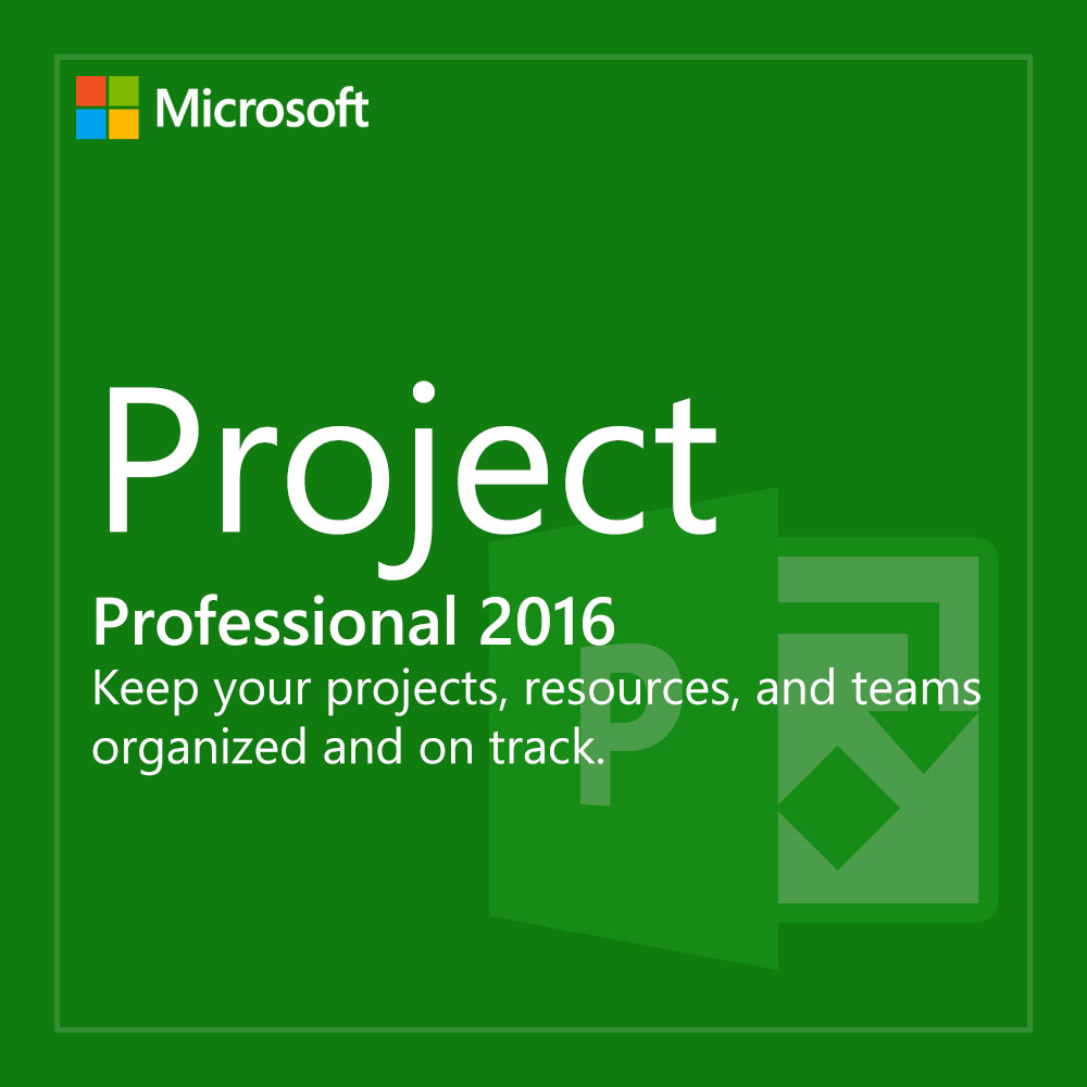 how to secure a ms project 2016 file