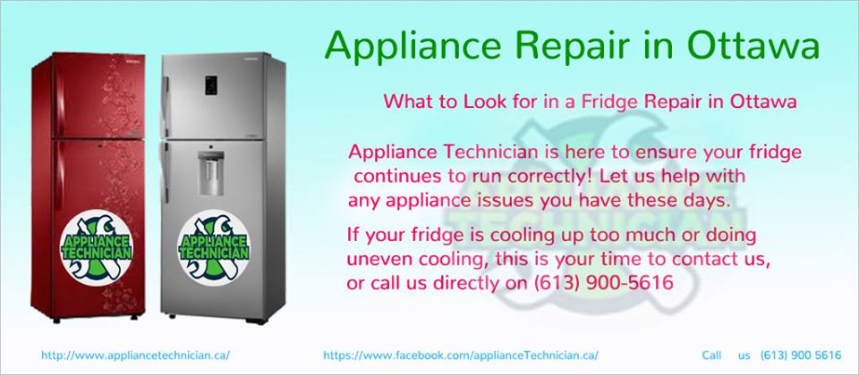 Appliance Technician Offering Your Certified Quality Home Appliance