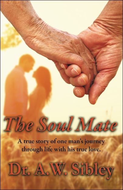 the soulmate book review