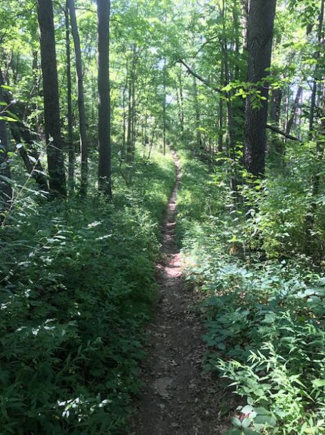 Michigan Trails and Greenways Alliance Applauds Introduction of ...