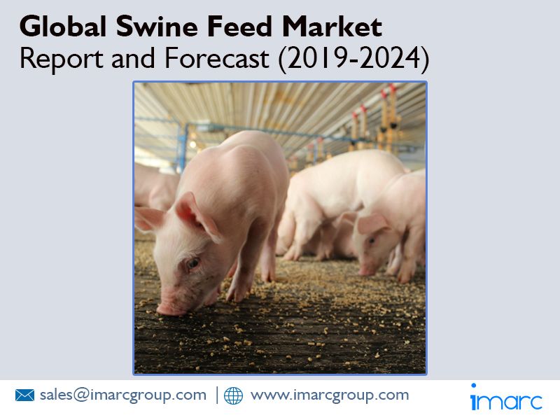 Global Swine Feed Market is expanding at a CAGR of Around 4 During