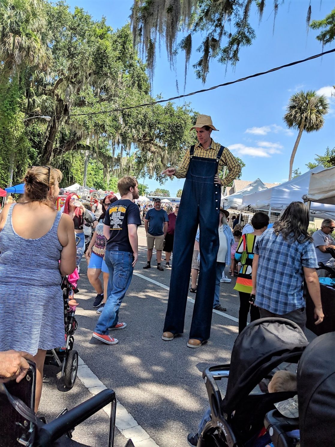 Annual Blueberry Festival in Florida is ON! Visit Mount Dora PRLog