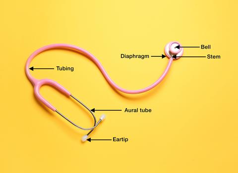Anatomy of a Stethoscope: Everything You Need to Know 