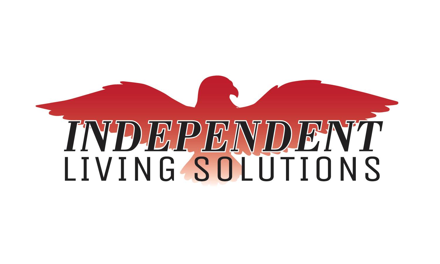 12975102 Independent Living Solutions Inc 